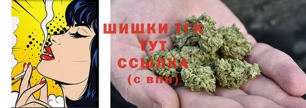 шишки Беломорск