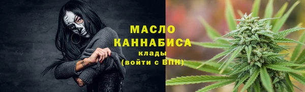 шишки Беломорск