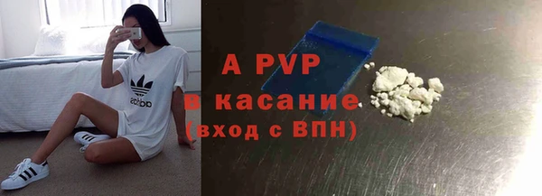шишки Беломорск