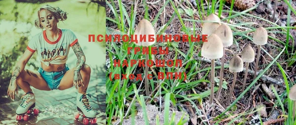 шишки Беломорск