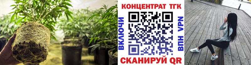 ТГК гашишное масло  наркошоп  omg   Мглин 