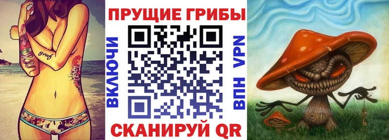 закладки  Мглин  Галлюциногенные грибы прущие грибы 