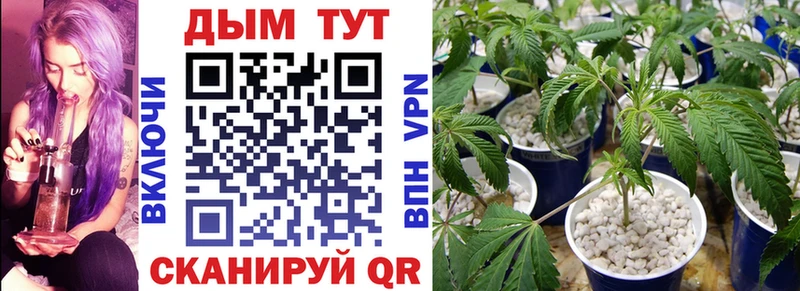 Марихуана индика Мглин